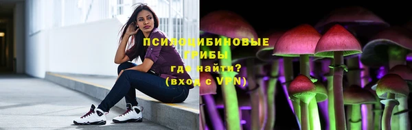 apvp Пестово