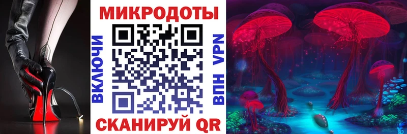 площадка клад продажа наркотиков Североуральск Псилоцибиновые грибы GOLDEN TEACHER