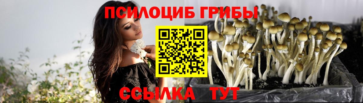 Псилоцибиновые грибы Psilocybine cubensis  Вход с VPN  Североуральск  Псилоцибиновые грибы MAGIC MUSHROOMS 